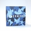 Etherwood - Blue Leaves